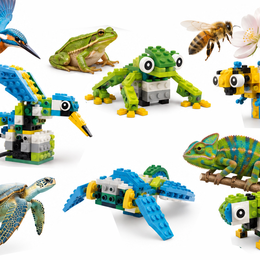 Atelier robotique : Quand la nature inspire les robots