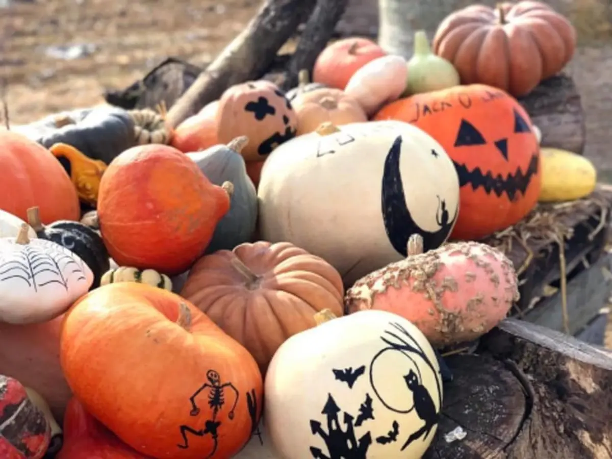 Atelier sculpture citrouille d'Halloween au Château de Ferrières-en-Brie (77)