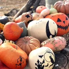 Atelier sculpture citrouille d'Halloween au Château de Ferrières-en-Brie (77)