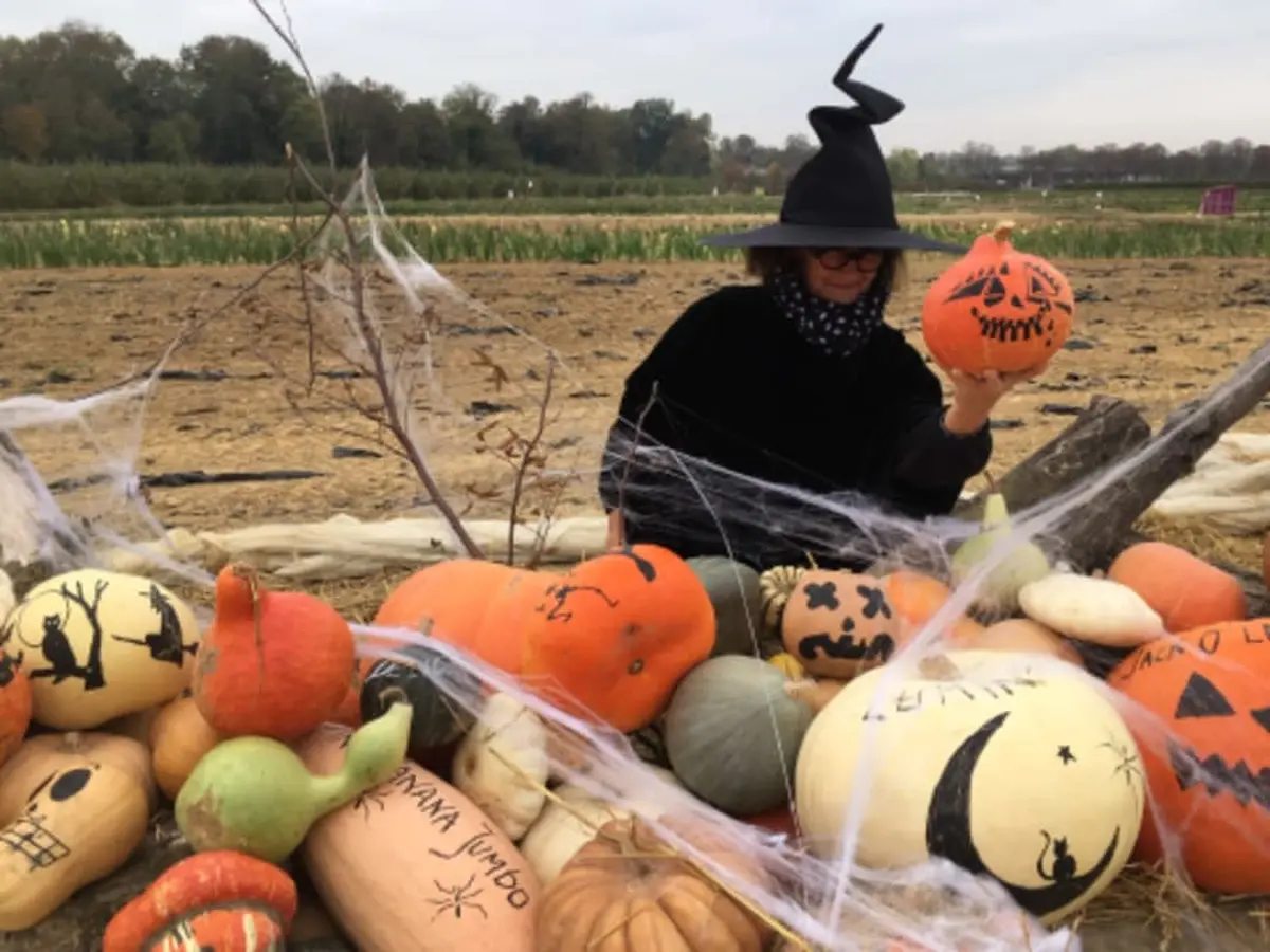 Atelier sculpture citrouille Halloween Chanteloup-en-Brie (77)