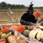 Atelier sculpture citrouille Halloween Chanteloup-en-Brie (77)