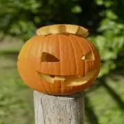 Atelier sculpture de citrouilles à la cueillette de Fraisochamp