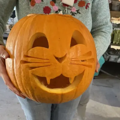 Amiens : nos 6 idées sorties du week-end