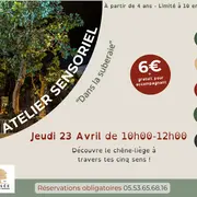 Atelier Sensoriel