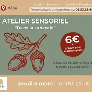 Atelier sensoriel dans la suberaie.