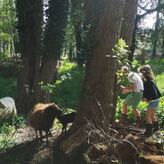 Atelier "Soins aux animaux" aux Cl&eacute;s de la Ferme &agrave; Chevannes