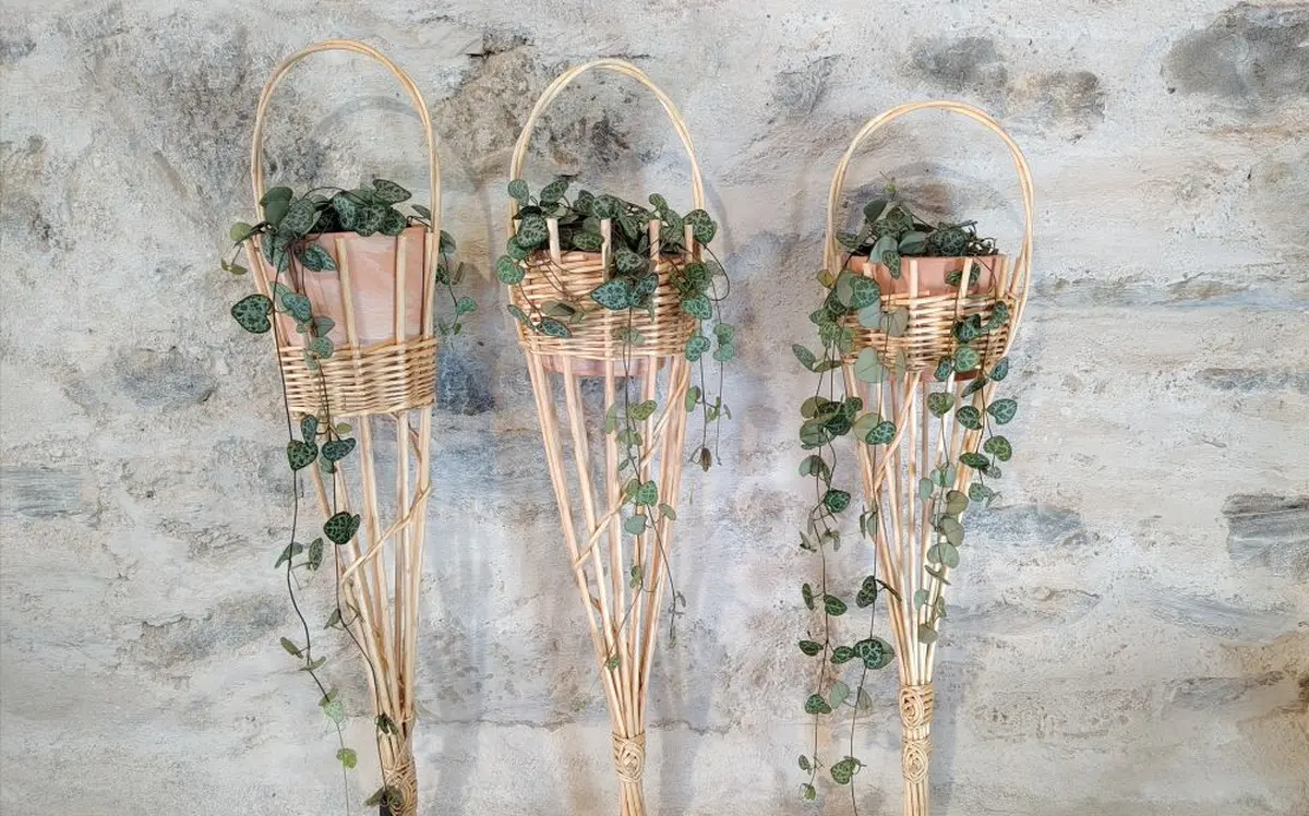 Atelier Suspension pour plante retombante