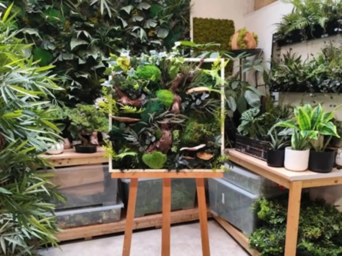 Atelier tableau végétal à Saint-Genis-Laval (69)