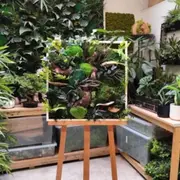 Atelier tableau végétal à Saint-Genis-Laval (69)