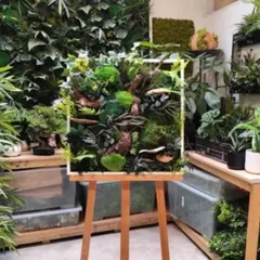 Atelier tableau végétal à Saint-Genis-Laval (69)