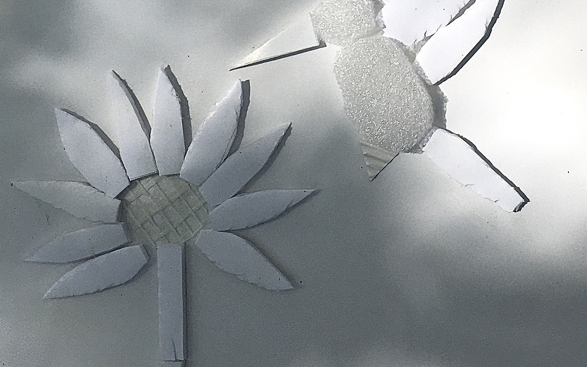 Pénélope autrice illustratrice