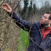 Atelier Taille d'arbres fruitiers à Chanteloup en Brie (77)