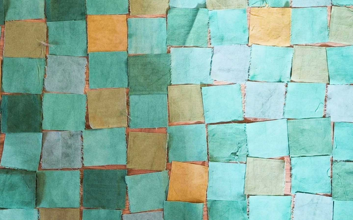 Atelier teinture végétale