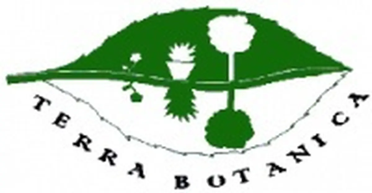 Atelier Terra Botanica : créer son décor de table - art floral