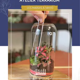 Atelier Terrarium