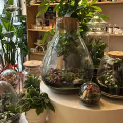 Atelier terrarium à 4 mains à Lille (59)