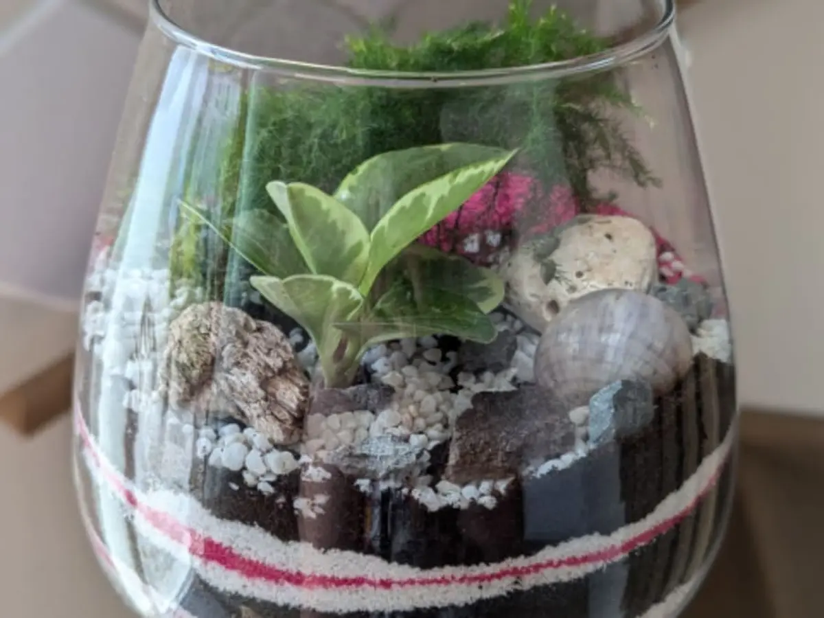 Atelier terrarium à La Rochelle (17)