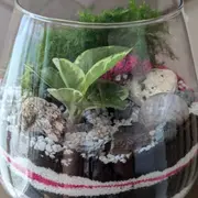 Atelier terrarium à La Rochelle (17)