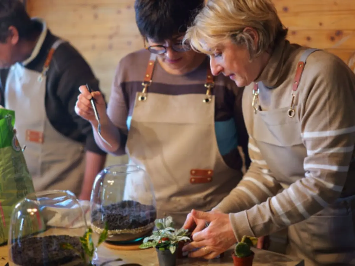 Atelier terrarium à Moirans (38)