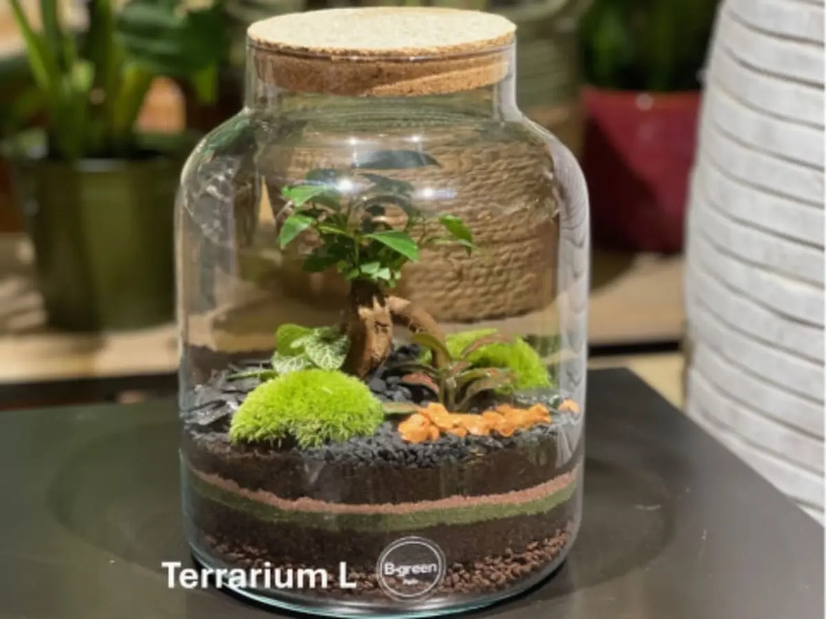 Atelier terrarium à Paris 11ème