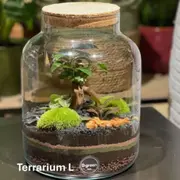 Atelier terrarium à Paris 11ème