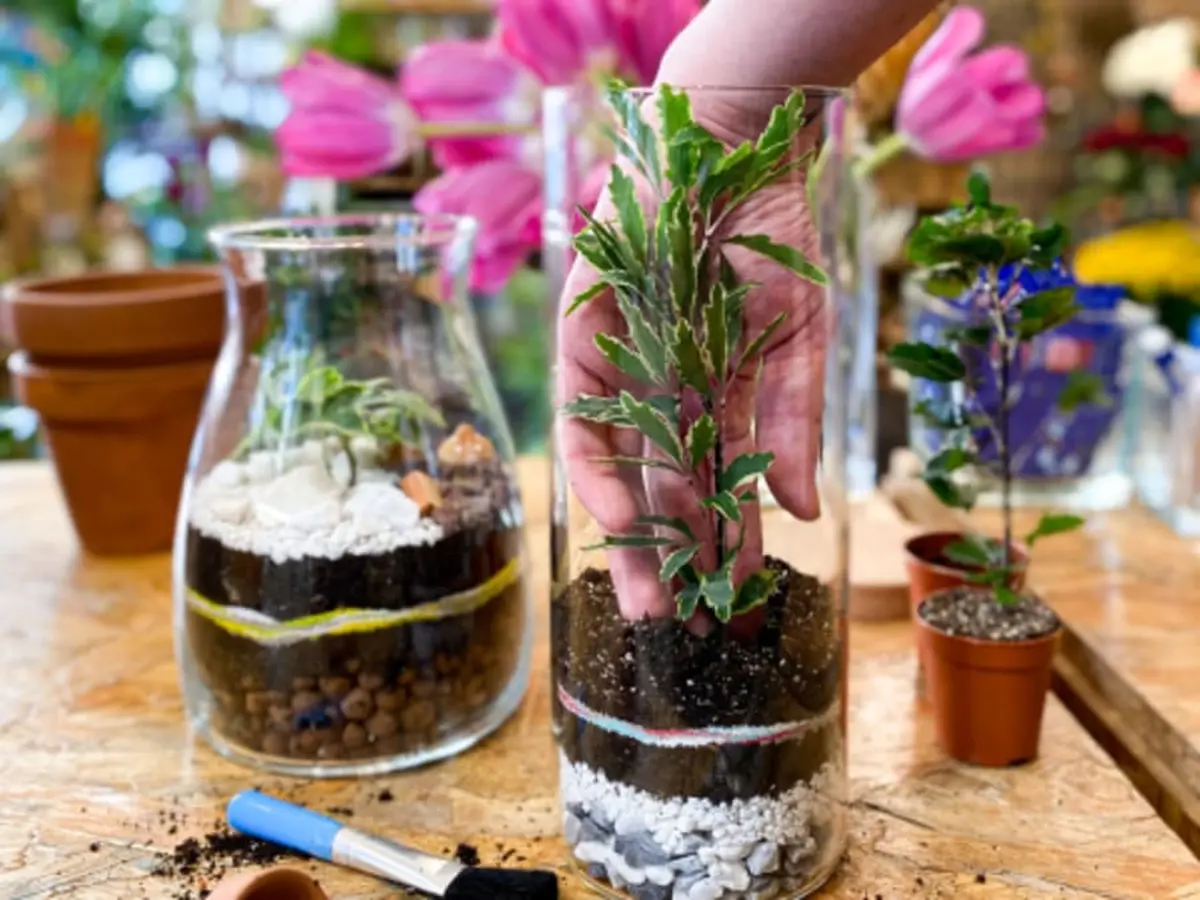 Atelier terrarium à Paris 12ème