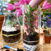 Atelier terrarium à Paris 12ème