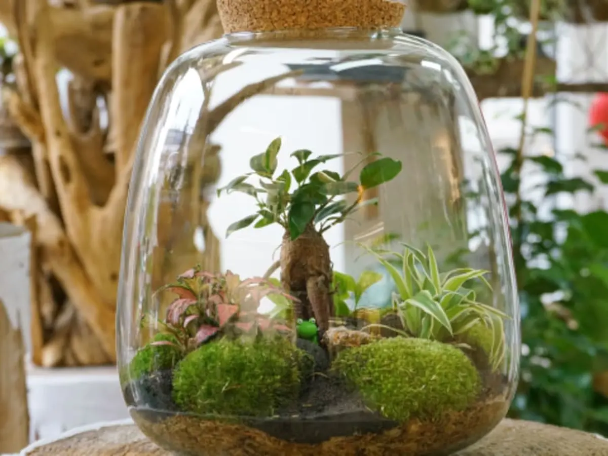 Atelier terrarium à Paris 13ème
