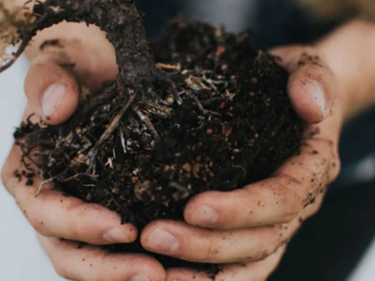Atelier Terrarium à Paris 15ème