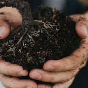 Atelier Terrarium à Paris 15ème