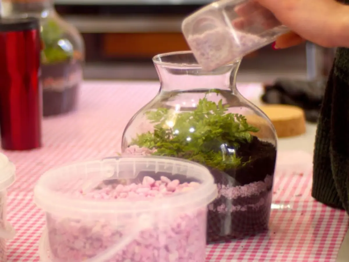 Atelier Terrarium à Paris 19ème