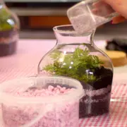 Atelier Terrarium à Paris 19ème