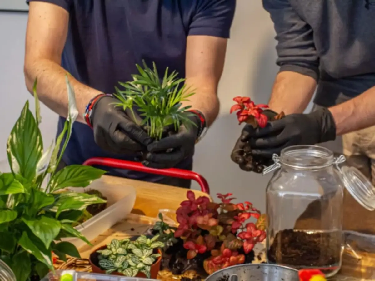 Atelier terrarium à Paris 5ème