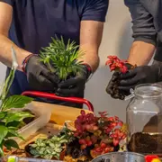 Atelier terrarium à Paris 5ème