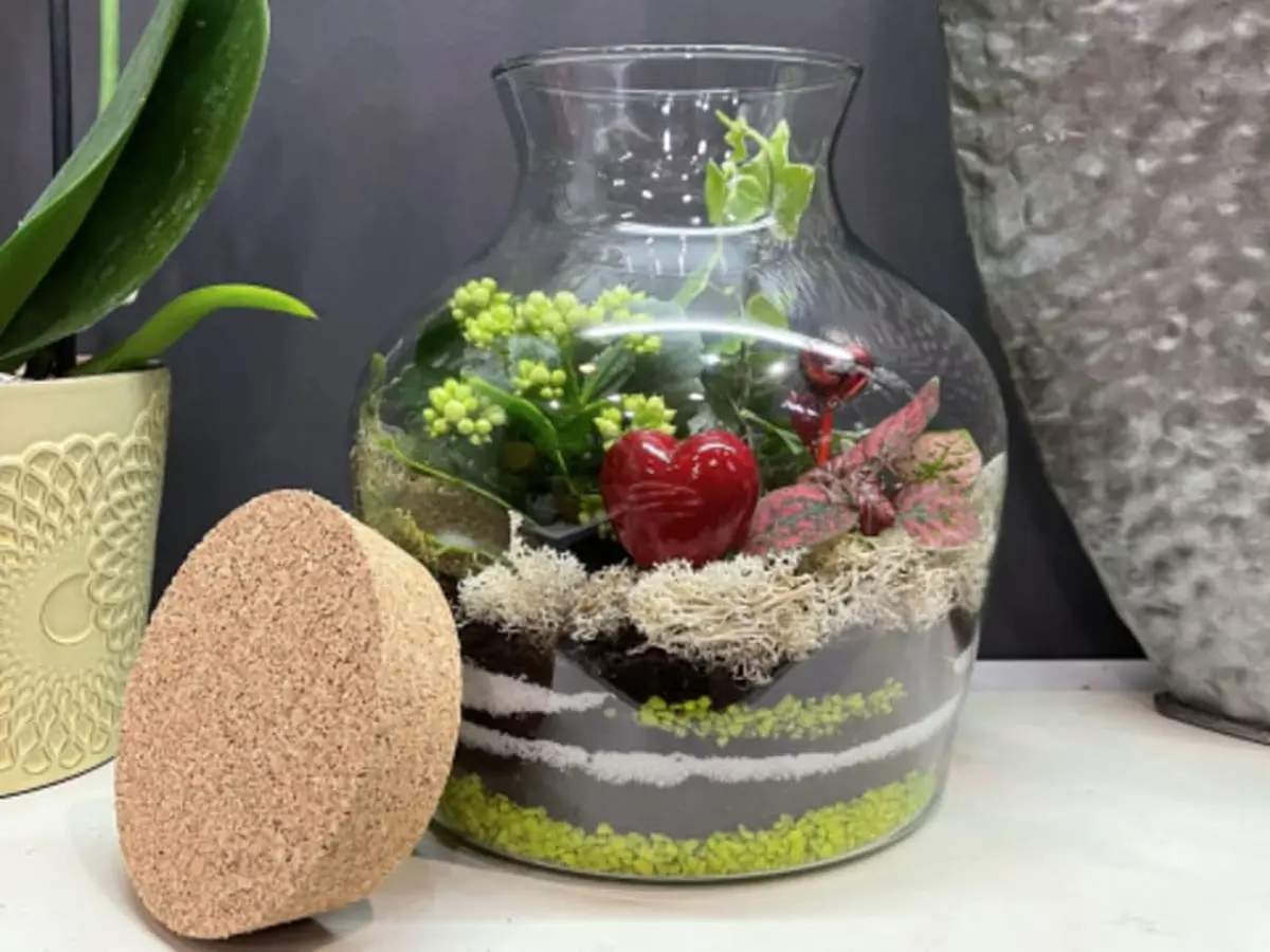 Atelier terrarium à Pontoise (95)