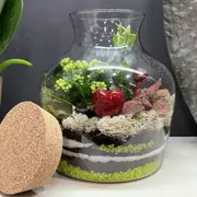 Atelier terrarium à Pontoise (95)