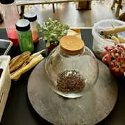 Atelier terrarium à St Martin du Var (06)