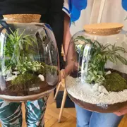 Atelier Terrarium à Strasbourg (67)