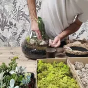 Atelier terrarium à Wasquehal (59)