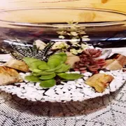 Atelier Terrarium chez Truffaut Saint-Malo