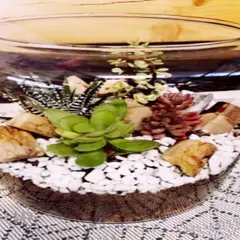 Atelier Terrarium chez Truffaut Saint-Malo