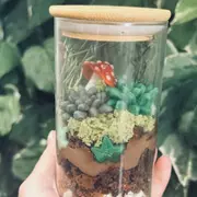 Atelier terrarium comestible à Paris 11ème