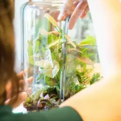 Atelier Terrarium taille L à Saint-Sorlin-en-Valloire (26)