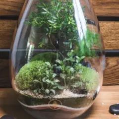 Atelier Terrarium taille M à Saint-Sorlin-en-Valloire (26)