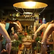 Atelier Terrarium taille M à Strasbourg (67)
