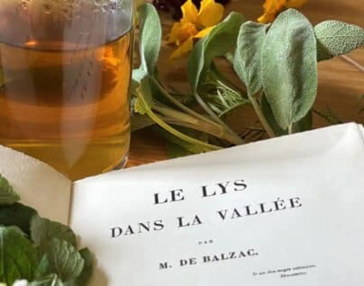 Atelier Tisane - Le Lys dans la vallée : du roman à la tasse