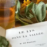 Atelier Tisane - Le Lys dans la vallée : du roman à la tasse