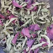 Atelier tisane personnalisée Été