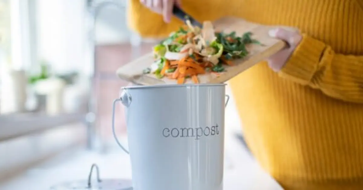 Atelier Tout Composter, Sans Nuisance