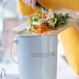Atelier Tout Composter, Sans Nuisance